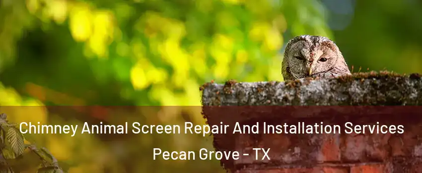  Chimney Animal Screen Repair And Installation Services Pecan Grove - TX