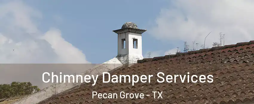 Chimney Damper Services Pecan Grove - TX