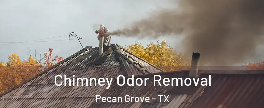 Chimney Odor Removal Pecan Grove - TX