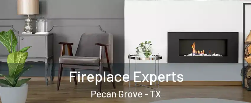  Fireplace Experts Pecan Grove - TX