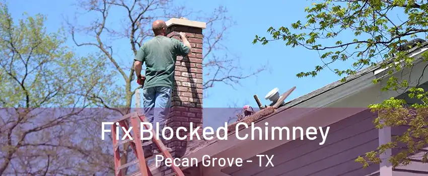 Fix Blocked Chimney Pecan Grove - TX