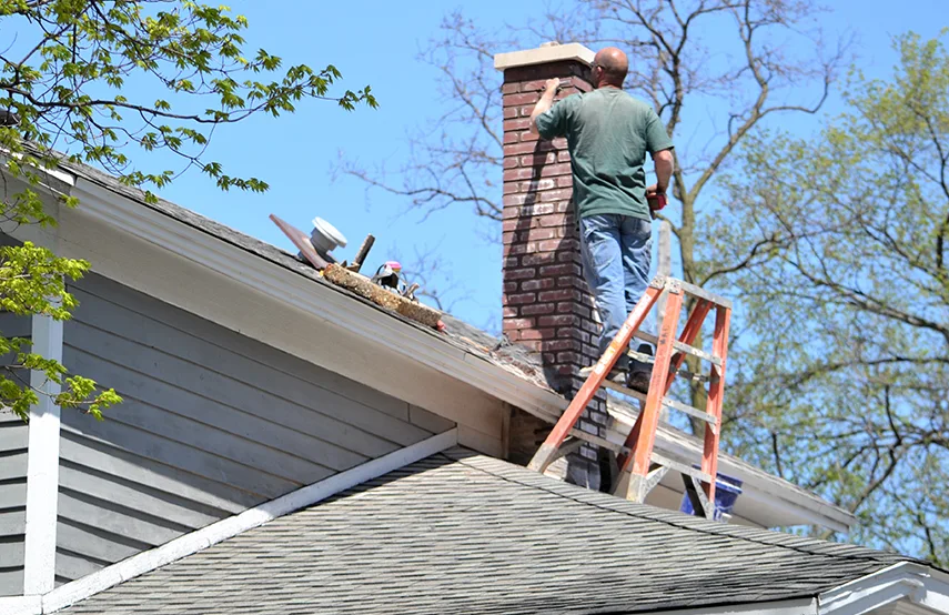 Chimney & Fireplace Inspections Services in Pecan Grove, TX