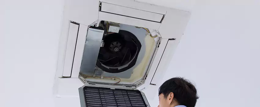 Benefits of Professional Air Duct Cleaning in Pecan Grove, Texas