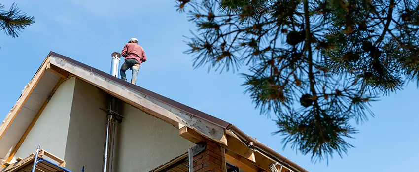Birds Removal Contractors from Chimney in Pecan Grove, TX