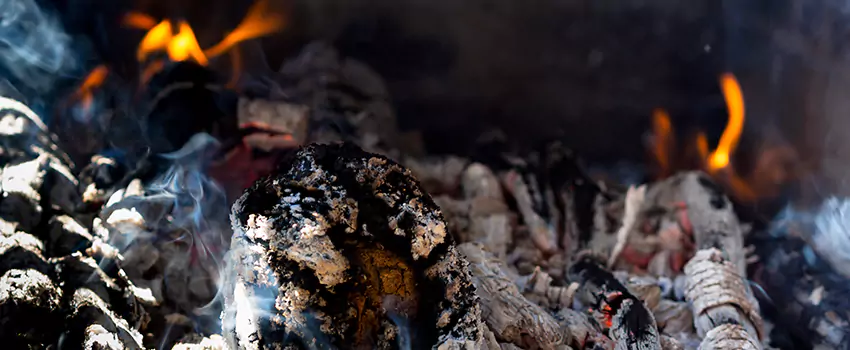 Creosote Removal Experts in Pecan Grove, TX