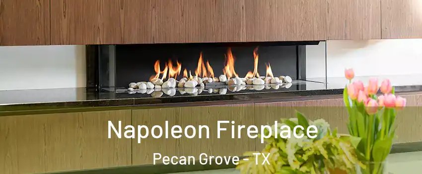  Napoleon Fireplace Pecan Grove - TX