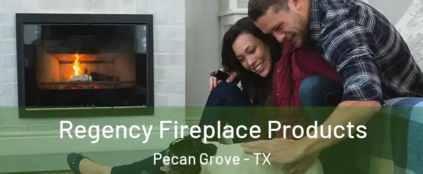  Regency Fireplace Products Pecan Grove - TX